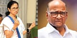 ‘ঘর ওয়াপসি’ মমতা ও শারদের?  এবার ‘অখণ্ড কংগ্রেস’ গড়ার দাবি
