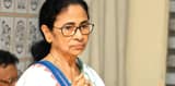 ফিরহাদের ইস্তফার পর কাউন্সিলারদের সমর্থন যাচাই করতে আজ বৈঠকে মমতা, বিধাননগর পুরসভায় অ্যাডমিনিস্ট্রেটর নিয়োগ