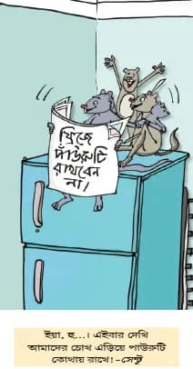 মজারু