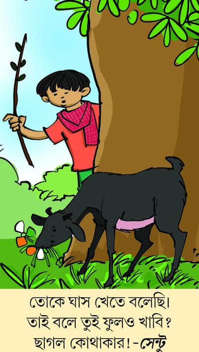 মজারু