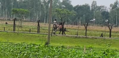 মাথাভাঙা-মেখলিগঞ্জে অনুপ্রবেশের চেষ্টা রুখে দিল বিএসএফ, বাংলাদেশি জমায়েত ঘিরে সীমান্তে উত্তেজনা