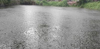 হলদিয়া ভিজল স্বস্তির বৃষ্টিতে