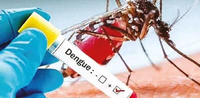 জেলাজুড়ে ডেঙ্গুর থাবা বসানো শুরু, ২০ সপ্তাহে আক্রান্ত ১৫০
