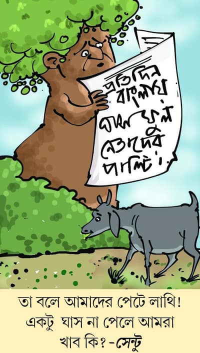 মজারু