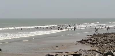 দিঘায় চালু হল ডাইনোসর পার্ক!