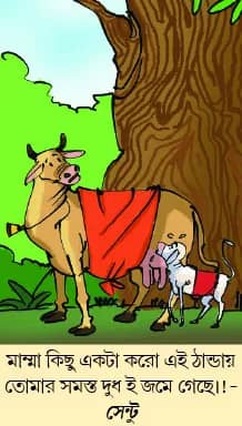 মজারু
