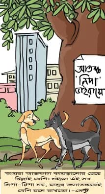 মজারু