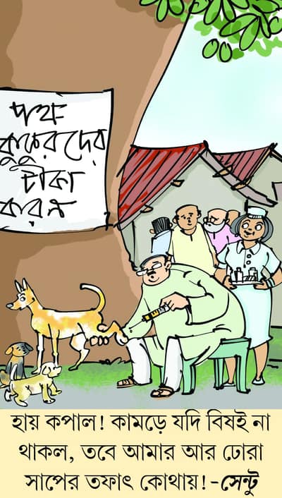 মজারু