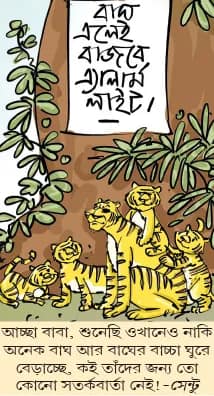 মজারু