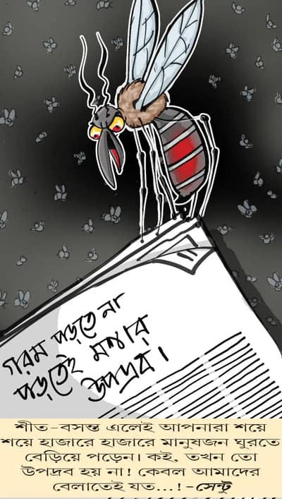 মজারু