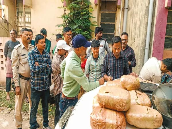 ১৯ বছরের স্মার্ট তরুণী গাঁজা পাচারকারী! তাজ্জব বাসিন্দারা, আসানসোলে যৌথ অভিযানে পাকড়াও ৩ বাজেয়াপ্ত ১০ কেজি গাঁজা