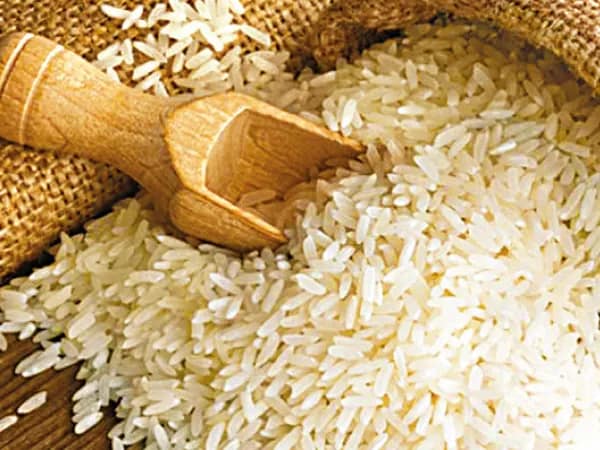 বাংলাকে ভাতে মারার চক্রান্ত, ৩ লক্ষ মেট্রিক টন ধানের দায় নিতে রাজি নয় কেন্দ্র