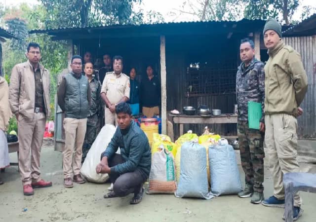 গুপ্তধন নয়, রাতভর গর্ত খুঁড়ে মিলল ৩৭৫ কেজি গাঁজা, চাঞ্চল্য
