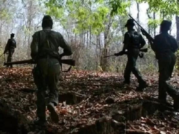বড় সাফল্য নিরাপত্তা বাহিনীর, ছত্তিশগড়ে অভিযানে হত ১৫ মাওবাদী