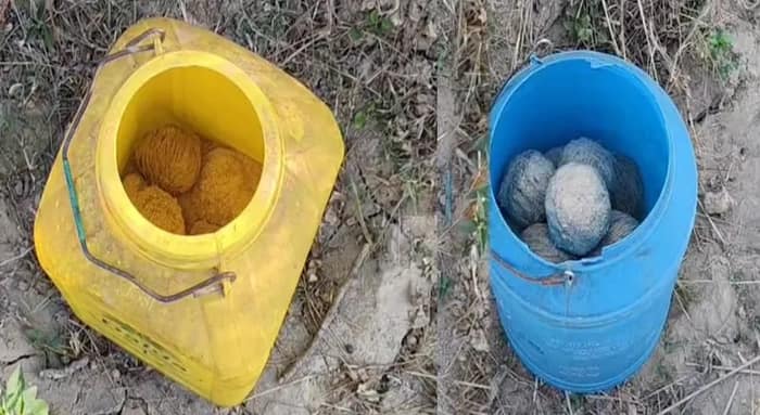 মালদহের বৈষ্ণবনগরে বোমা উদ্ধার
