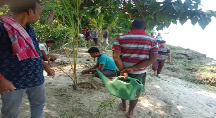 ভাঙন রুখতে গঙ্গাপাড়ে ‘কাঁকড়া’ প্রজাতির ম্যানগ্রোভ সুন্দরী, বাইন সহ ৭৫০ গাছ প্রিন্সেপ ঘাট চত্বরে