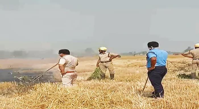 নাড়া পোড়াতে গিয়ে ৬০ বিঘার গম ছাই, ঝলসে গেলেন এক, চিন্তায় প্রশাসন