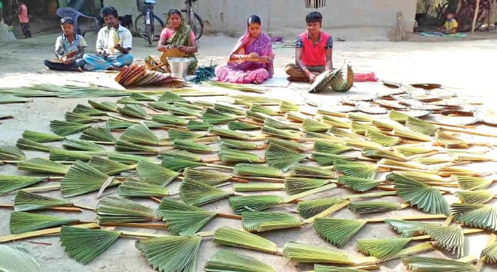 মেদিনীপুরে তালপাতার পাখা বানিয়ে পেট চালান পাখাপাড়ার বাসিন্দারা