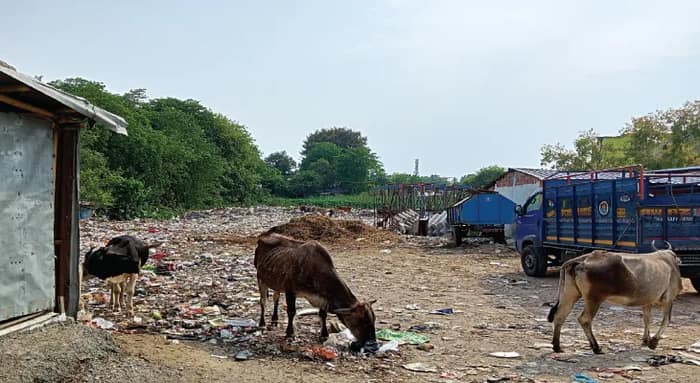 পুরাতন মালদহ পুরসভা: খোদ চেয়ারম্যানের বাড়ির উল্টোদিকের জলাশয়েই ফেলা হচ্ছে শহরের আবর্জনা