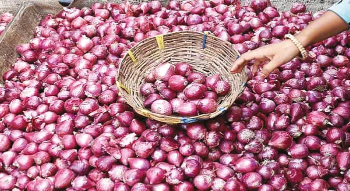 সুখসাগর পেঁয়াজের রেকর্ড ফলন, ভালো দাম পেয়ে খুশি জেলার চাষিরা