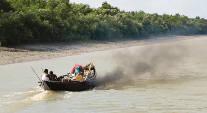 কাটা তেলে চলছে নৌকা, কালো ধোঁয়ায় দূষণ ছড়াচ্ছে সুন্দরবনে