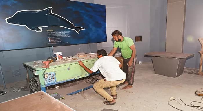 বিলুপ্ত ও সদ্য আবিষ্কৃত সামুদ্রিক প্রাণীর গল্প বিআইটিএমের নয়া ‘সি’ গ্যালারিতে