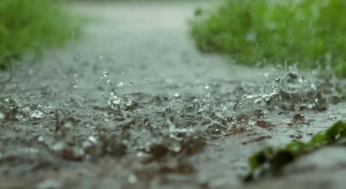 আগামী কয়েক ঘণ্টার মধ্যে মুর্শিদাবাদ ও বীরভূম জেলার কিছু এলাকায় ঝড়-বৃষ্টির পূর্বাভাস