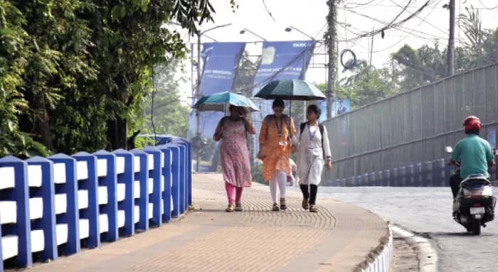 বৃষ্টির কোনও দেখাই নেই , রোদে কাহিল অবস্থা সব্জির