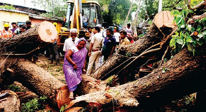 হঠাৎ ঝড়-বৃষ্টি, হাওড়ায় গাছ ভেঙে জখম তিন, জল জমল উত্তর শহরতলির রাস্তায়