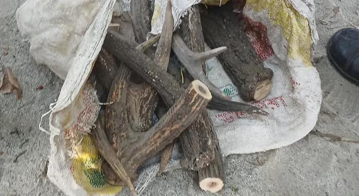 জলপাইগুড়িতে বস্তায় মিলল হরিণের শিং, তদন্ত বনদপ্তরের