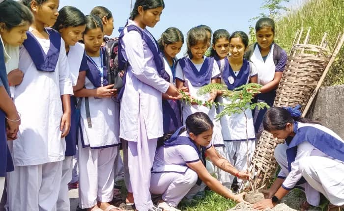 মাধ্যমিকে সাফল্য, স্মৃতিতে রাস্তার ধারে গাছ লাগাল ছাত্রীরা