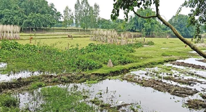 উত্তরবঙ্গের উন্মুক্ত বাংলাদেশ সীমান্তে কাঁটাতারের বেড়ার দাবি গ্রামবাসীদের, ‘চিকেনস নেকের’ নিরাপত্তা পর্যালোচনা গোয়েন্দা কর্তার