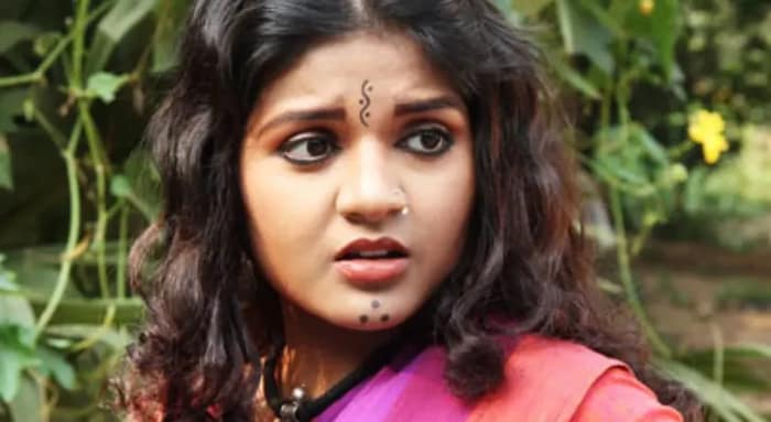 বাহামণির ঘরে ফেরা
