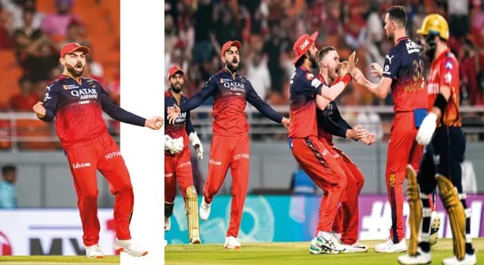 ব্যর্থ শ্রেয়স আয়ার, তিনটি করে উইকেট সুয়াশ-হ্যাজলউডের, পাঞ্জাবকে উড়িয়ে ফাইনালে বেঙ্গালুরু
