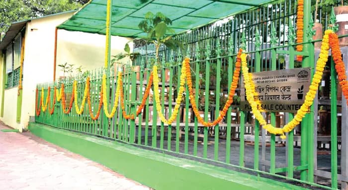 নামমাত্র মূল্যে ফুল-ফল-মশলার চারা, বি গার্ডেনে উদ্বোধন নয়া বিক্রয়কেন্দ্রের