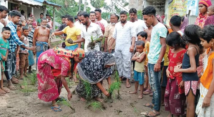 সংস্কারের দাবিতে বসিরহাটের রাস্তায় গাছ পুঁতে প্রতিবাদ