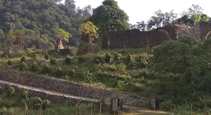 বক্সা ফোর্টে এবার ঘোড়ায় চড়েই যেতে পারবেন পর্যটকেরা