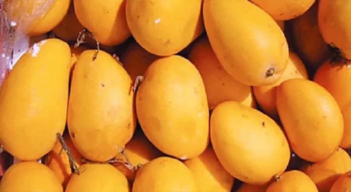 রাজ্যের ৪৩ লক্ষ টাকার বেশি  আম বিক্রি হল  দিল্লির মেলায়