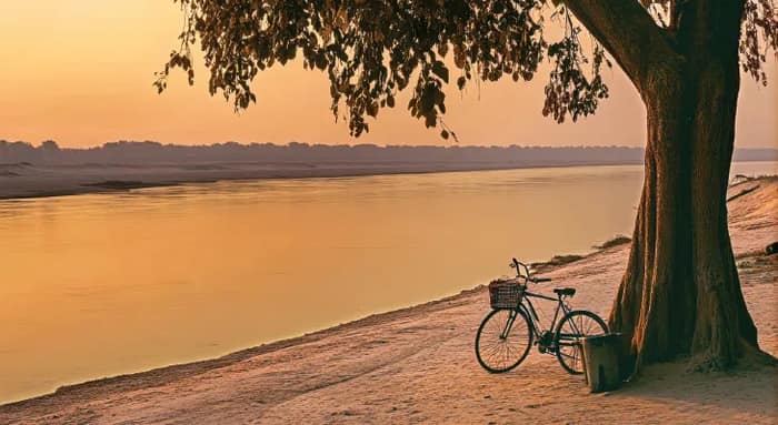 পরিবেশের বন্ধু