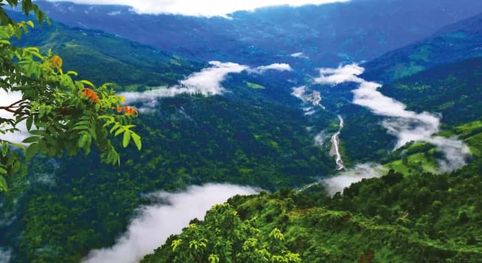 মেঘ কুয়াশায় ঘেরা মংপু