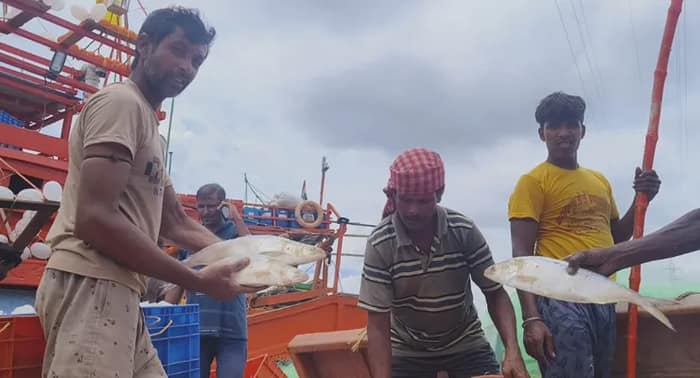 বাঙালির জন্য সুখবর, বাজারে আসতে চলেছে মরশুমের প্রথম ইলিশ, দাম কত?