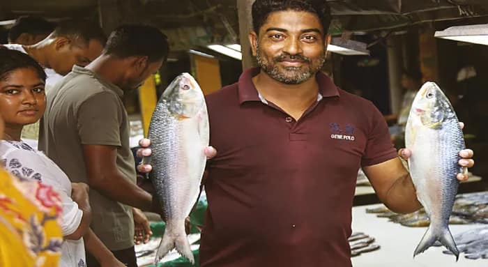 সদয় দীঘার সমুদ্র  জালে ১৫ টন ইলিশ, মৎস্যজীবীদের মুখে চওড়া হাসি
