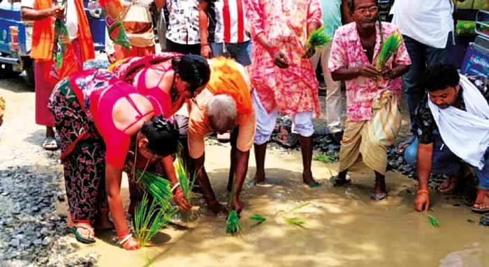 রাস্তায় ধান রোপণ করে বিক্ষোভ