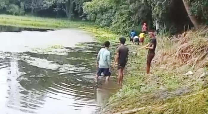 রবীন্দ্র সরোবরের পাবলিক পুল থেকে অবশেষে শুরু হল ঝাঁঝি তোলার কাজ