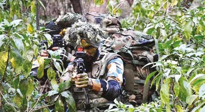 কোন পোকা বা গাছের মূলে মিলবে প্রোটিন-কার্বোহাইড্রেট, তথ্য সেনাকে