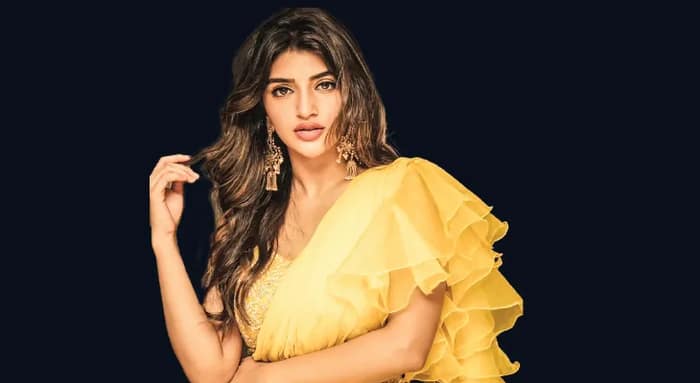 পারিশ্রমিক বাড়ালেন শ্রীলীলা