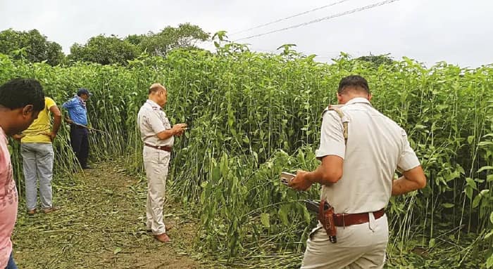 হরিশ্চন্দ্রপুর: ‘মাকে মারতে মারতে নিয়ে যায় বাবা-পিসি’, পুলিসকে জানাল ছ’বছরের ছেলেই, কঙ্কালের ডিএনএ টেস্টের দাবি