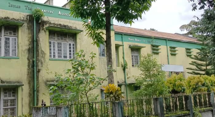১১ বছর পর চালু হল জলপাইগুড়ি চা নিলাম কেন্দ্র, থাকছে বিশেষ ছাড়