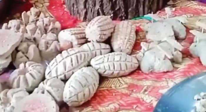 ড্রোন থেকে গ্রেনেড কাবাব, সাজছে কাশ্মীরের ওয়াজাহান