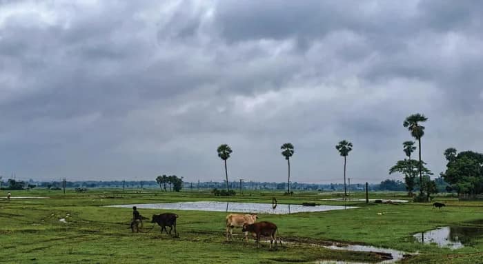 ফের নিম্নচাপ, দক্ষিণবঙ্গে বুধবার থেকে বৃষ্টি বাড়বে